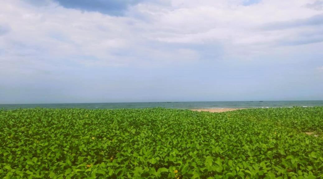 Chan Beach Resort Bahur Dış mekan fotoğraf